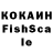 COCAIN Fish Scale Brayden Kenworthy