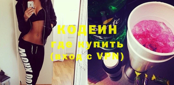 индика Нефтегорск