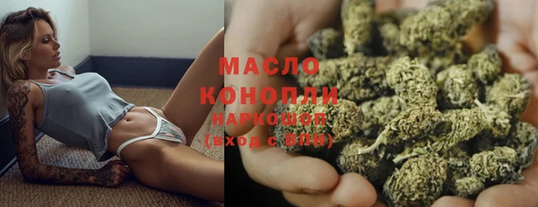индика Нефтегорск