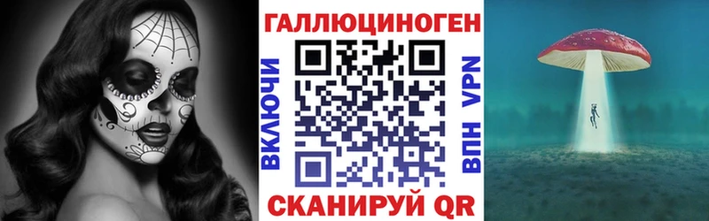 купить наркоту  Питкяранта  Псилоцибиновые грибы Psilocybine cubensis 