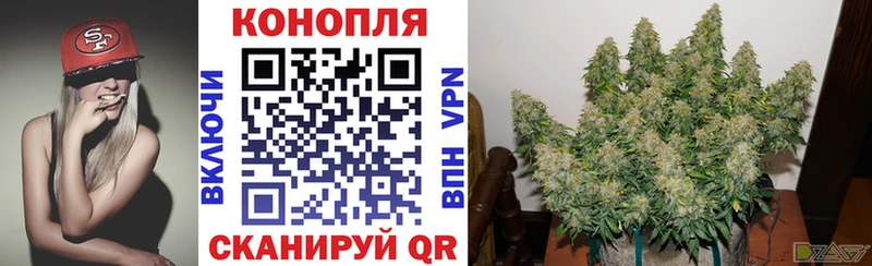 закладки  Питкяранта  Марихуана OG Kush 